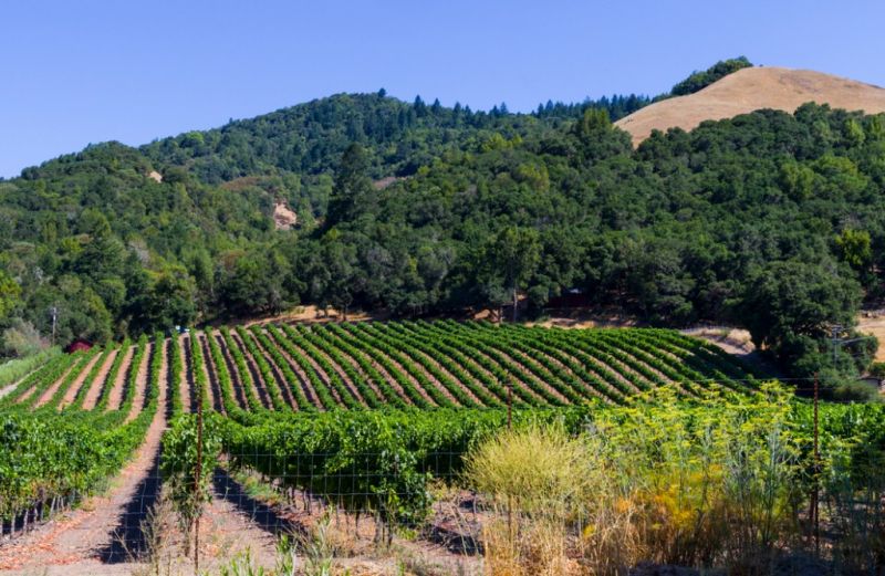 Best Bathtub Installation pros in Vine Grove, KY